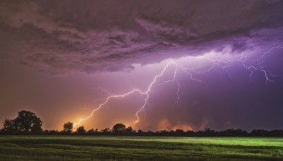 outdoors,sky,cloud,tree,no humans,cloudy sky,grass,nature,scenery,forest,sunset,electricity,lightning,landscape,purple sky,field