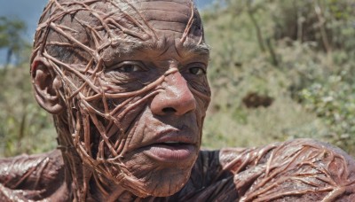 solo,looking at viewer,1boy,male focus,outdoors,day,blurry,black eyes,tree,blurry background,portrait,realistic,alien,closed mouth,sky,blue sky,no humans,close-up,veins,meme,monster