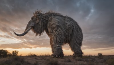 solo,standing,outdoors,horns,sky,teeth,cloud,tree,no humans,cloudy sky,grass,sharp teeth,nature,scenery,claws,sunset,monster,tusks,from side,bird,animal,creature,twilight