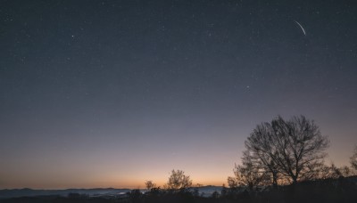 outdoors,sky,tree,no humans,night,star (sky),nature,night sky,scenery,forest,starry sky,sunset,mountain,bare tree,mountainous horizon,gradient sky,shooting star,cloud,star (symbol),moon,grass,horizon,crescent moon,landscape