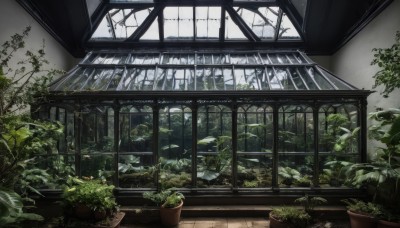 day,indoors,tree,no humans,window,sunlight,plant,scenery,potted plant,ruins,moss,overgrown,leaf,glass,ceiling