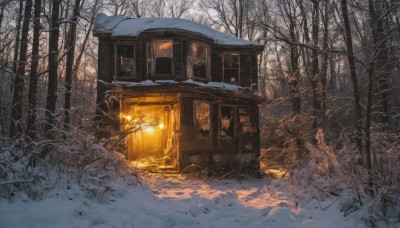 outdoors,tree,no humans,window,grass,fire,building,nature,scenery,snow,forest,snowing,door,house,winter,bare tree,sky