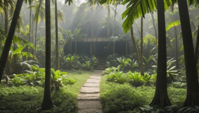 outdoors,day,tree,no humans,leaf,sunlight,grass,plant,nature,scenery,forest,light rays,stairs,bush,shade,sunbeam,dappled sunlight,path,rock,road