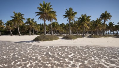 outdoors,sky,day,water,tree,blue sky,no humans,shadow,ocean,beach,grass,nature,scenery,sand,palm tree,shore,signature,traditional media,realistic,horizon