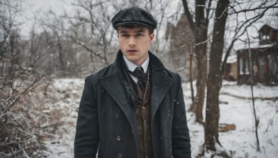 solo,looking at viewer,shirt,black hair,long sleeves,1boy,hat,brown eyes,jacket,white shirt,upper body,male focus,outdoors,necktie,collared shirt,blurry,black eyes,vest,tree,lips,coat,black jacket,black headwear,nature,black necktie,snow,forest,black coat,snowing,realistic,winter,bare tree,brown vest,photo background,brown necktie,short hair,parted lips,open clothes,day,striped,blurry background,wing collar,building,open coat,black vest,house,grey sky