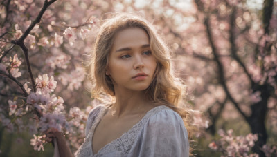 1girl, solo, long hair, blue eyes, blonde hair, dress, jewelry, closed mouth, upper body, flower, earrings, outdoors, blurry, tree, lips, depth of field, blurry background, wavy hair, looking away, cherry blossoms, realistic, nose, branch