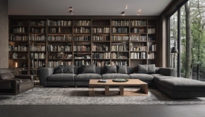 indoors,tree,cup,pillow,book,no humans,window,chair,table,plant,scenery,couch,plate,forest,wooden floor,clock,bookshelf,lamp,candle,on couch,shelf,book stack,library,carpet,candlestand,ceiling light,chandelier,day,wall,rug