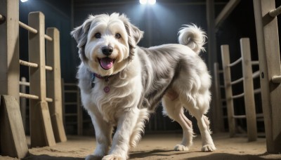 HQ,solo,open mouth,blue eyes,full body,tongue,indoors,tongue out,collar,no humans,night,animal,fangs,dog,realistic,animal focus,animal collar,looking at viewer,brown eyes,jewelry,standing,necklace,light,white fur,pet