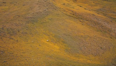 outdoors,sky,no humans,traditional media,nature,scenery,sand,field,from above,road,yellow theme,orange theme,desert