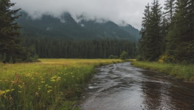 flower,outdoors,sky,day,cloud,water,tree,no humans,cloudy sky,grass,plant,nature,scenery,forest,mountain,river,landscape,lake,fog,grey sky,road,bush,field,path,pine tree