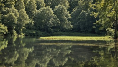 outdoors,sky,day,water,tree,no humans,grass,nature,scenery,forest,reflection,rain,road,bush,puddle,reflective water,signature,plant,green theme,landscape,lake