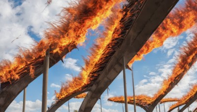 outdoors,sky,day,cloud,tree,blue sky,dutch angle,no humans,leaf,from below,cloudy sky,fire,scenery,autumn leaves,autumn,bird,reflection,fantasy,bridge