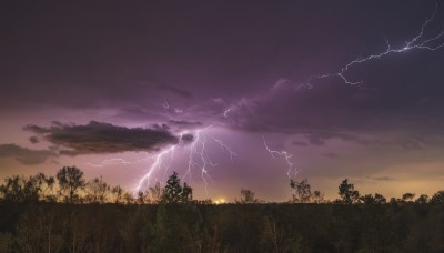 outdoors,sky,cloud,tree,no humans,cloudy sky,grass,nature,scenery,forest,sunset,sun,electricity,lightning,landscape,dark