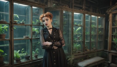 1girl,solo,looking at viewer,short hair,brown hair,long sleeves,dress,brown eyes,jewelry,standing,earrings,choker,indoors,hair bun,black dress,lips,see-through,window,double bun,makeup,buttons,black choker,crossed arms,table,plant,lipstick,rain,red lips,potted plant,see-through sleeves,artist name,signature,orange hair,mole,head tilt,curly hair,aquarium