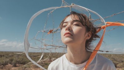 1girl,solo,short hair,blue eyes,brown hair,shirt,white shirt,upper body,outdoors,parted lips,sky,day,cloud,blurry,blue sky,lips,depth of field,blurry background,bug,looking up,portrait,realistic,nose,dragonfly,bangs,brown eyes,wind,scenery