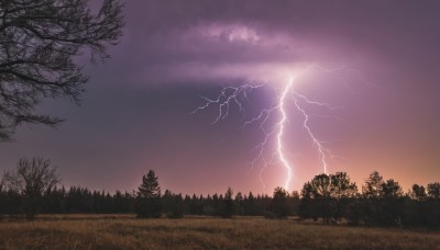 outdoors,sky,cloud,tree,no humans,cloudy sky,grass,nature,scenery,forest,sunset,electricity,bare tree,lightning,landscape,purple sky,twilight,gradient sky