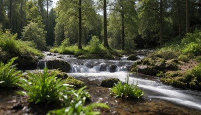 outdoors,day,water,blurry,tree,no humans,depth of field,sunlight,grass,plant,nature,scenery,forest,rock,bush,river,waterfall,landscape,path,stream