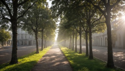 outdoors,sky,day,tree,no humans,window,shadow,sunlight,grass,ground vehicle,building,nature,scenery,forest,light rays,road,bench,bush,shade,sunbeam,house,dappled sunlight,street,path