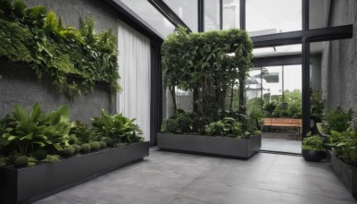 outdoors,day,indoors,tree,no humans,window,plant,building,scenery,sign,door,potted plant,bush,sky,cloud,leaf,tiles