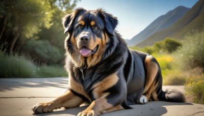 HQ,solo,open mouth,outdoors,sky,day,tongue,signature,tongue out,blurry,tree,blue sky,no humans,saliva,animal,grass,nature,dog,mountain,realistic,road,animal focus,looking at viewer,full body,lying,orange eyes,depth of field,blurry background,fangs,on stomach,puppy