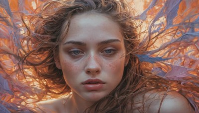 1girl,solo,long hair,looking at viewer,blue eyes,brown hair,parted lips,black eyes,lips,grey eyes,leaf,portrait,freckles,realistic,nose,closed mouth,eyelashes,floating hair,expressionless,wind,forehead,orange background,orange theme