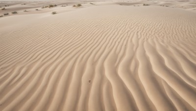 outdoors,multiple boys,water,tree,no humans,ocean,beach,nature,scenery,mountain,sand,road,landscape,shore,desert,6+others,ground vehicle