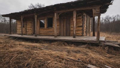 outdoors,sky,day,cloud,tree,no humans,window,grass,building,nature,scenery,forest,door,road,house,bare tree,path,cloudy sky,wood