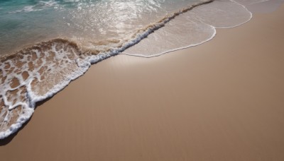 outdoors,water,gradient,gradient background,no humans,ocean,animal,beach,scenery,fish,brown background,realistic,sand,waves,food focus,shore,still life,day,footprints