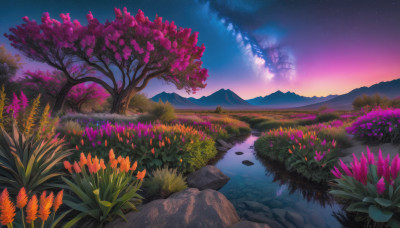 flower, outdoors, sky, water, tree, no humans, night, grass, plant, star (sky), nature, night sky, scenery, starry sky, rock, mountain, river, landscape, purple sky