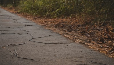 outdoors,day,tree,no humans,traditional media,plant,nature,scenery,forest,road,from above,grass,cracked floor