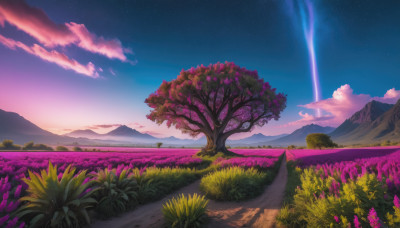 flower, outdoors, sky, cloud, tree, no humans, night, grass, star (sky), night sky, scenery, starry sky, sunset, mountain, road, field, landscape, mountainous horizon, shooting star, path, purple sky