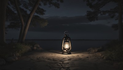 solo,holding,outdoors,sky,from behind,tree,no humans,night,shadow,grass,star (sky),night sky,scenery,starry sky,lantern,rock,dark,path,holding lantern,glowing,fire,light