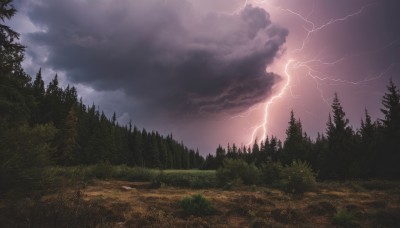 outdoors,sky,cloud,tree,no humans,cloudy sky,grass,nature,scenery,forest,electricity,road,lightning,landscape,path