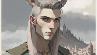 solo,long hair,looking at viewer,1boy,animal ears,brown eyes,jewelry,closed mouth,yellow eyes,grey hair,male focus,earrings,outdoors,sky,day,cloud,lips,scar,facial mark,cloudy sky,building,portrait,extra ears,scar on face,scar across eye,castle,1girl,brown hair,green eyes,grey background,heterochromia