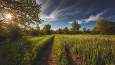 outdoors,sky,day,cloud,tree,blue sky,no humans,sunlight,cloudy sky,grass,plant,nature,scenery,forest,sun,road,field,path,landscape