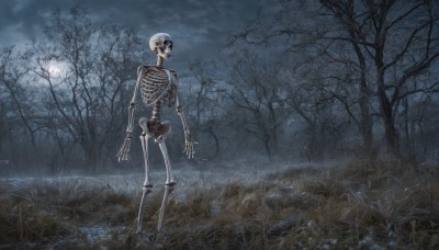 solo,standing,outdoors,sky,cloud,tree,no humans,night,moon,cloudy sky,grass,nature,night sky,scenery,full moon,forest,reflection,skull,ribs,skeleton,bare tree,bone,horror (theme),fog,dark,moonlight