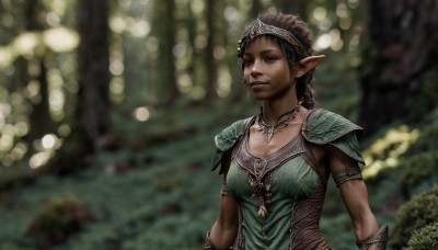 1girl,solo,breasts,short hair,brown hair,black hair,cleavage,brown eyes,jewelry,medium breasts,upper body,outdoors,pointy ears,artist name,dark skin,water,necklace,armor,blurry,dark-skinned female,lips,depth of field,blurry background,tiara,elf,shoulder armor,nature,forest,pauldrons,realistic,nose,long hair,braid,earrings