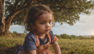 1girl,solo,short hair,brown hair,shirt,dress,brown eyes,closed mouth,upper body,short sleeves,outdoors,sky,day,cloud,blurry,black eyes,apron,tree,lips,blurry background,blue dress,grass,blue shirt,child,curly hair,realistic,female child,sunlight,scenery