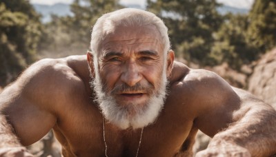 solo,looking at viewer,short hair,1boy,jewelry,upper body,white hair,male focus,nude,outdoors,day,necklace,blurry,tree,lips,muscular,blurry background,facial hair,pectorals,muscular male,bara,beard,large pectorals,topless male,mature male,realistic,mustache,manly,old,chest hair,old man,arm hair,hairy,wrinkled skin,nipples,depth of field,scar,thick eyebrows,scar on face,bald