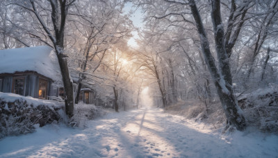 outdoors, sky, tree, no humans, window, building, nature, scenery, snow, forest, house, winter, bare tree