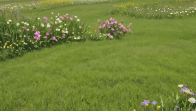 flower,outdoors,day,no humans,grass,white flower,nature,scenery,pink flower,yellow flower,purple flower,field,flower field,from above,plant,blue flower