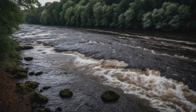 outdoors,day,water,tree,no humans,nature,scenery,forest,rock,river,waves,shore,ocean,beach,bush