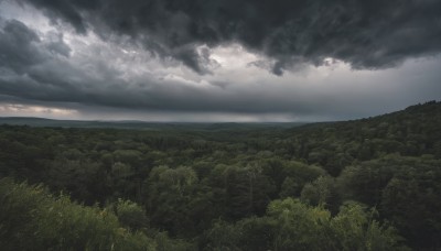 outdoors,sky,day,cloud,water,tree,no humans,ocean,cloudy sky,grass,nature,scenery,forest,mountain,horizon,landscape,field