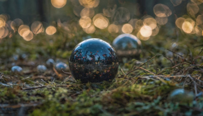 outdoors, blurry, tree, no humans, night, depth of field, blurry background, scenery, branch