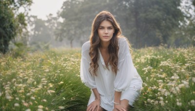 1girl,solo,long hair,looking at viewer,brown hair,shirt,long sleeves,dress,brown eyes,jewelry,sitting,closed mouth,flower,outdoors,day,dark skin,white dress,blurry,bracelet,dark-skinned female,tree,lips,depth of field,blurry background,wavy hair,grass,nature,realistic,field,flower field,hands on own thighs,white flower