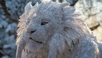 solo,looking at viewer,closed mouth,outdoors,blurry,black eyes,no humans,depth of field,blurry background,animal,portrait,monster,realistic,dragon,scales,animal focus,1boy,male focus,facial hair,beard,snow,close-up