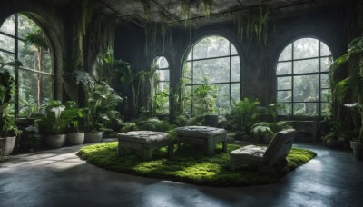 day,indoors,water,tree,no humans,window,chair,sunlight,grass,plant,nature,scenery,couch,potted plant,ruins,vines,moss,overgrown,broken window,book