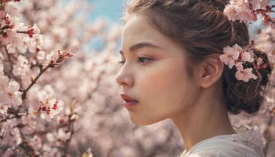 1girl, solo, short hair, brown hair, brown eyes, flower, outdoors, parted lips, day, blurry, from side, lips, profile, depth of field, blurry background, cherry blossoms, portrait, realistic, nose, branch