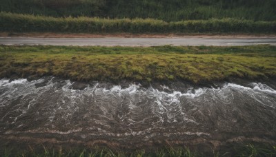 outdoors,day,water,tree,no humans,traditional media,grass,nature,scenery,forest,mountain,river,waves,landscape,field