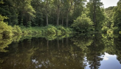 outdoors,sky,day,water,tree,no humans,sunlight,nature,scenery,forest,reflection,river,cloud,blue sky,landscape,lake,reflective water